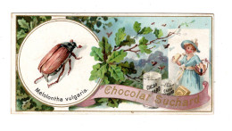 Chromo Chocolat Suchard S 63 / M, Serie Coléoptères, Scarabées, Käfer - Suchard