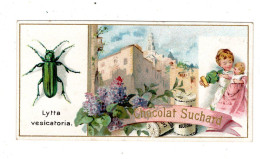 Chromo Chocolat Suchard S 63 / L, Serie Coléoptères, Scarabées, Käfer - Suchard