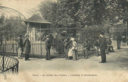 Paris Au Jardin Des Plantes Chameau Et Dromadaire Pionnière RV - Parks, Gardens