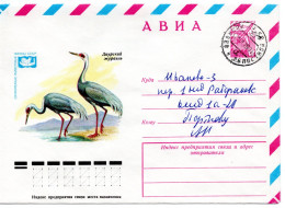 64087 - Russland / UdSSR - 1979 - 6K GALpU "Kraniche" Innerh V IVANOVO - Grues Et Gruiformes