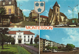 *CPM  -78 - MONTESSON - Multivues - Blason - Montesson