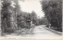 62 - LE TOUQUET PARIS PLAGE - Tramway Dans La Forêt - Le Touquet