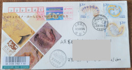 China cover 2024-4 On The First Day Of Registration And Actual Delivery Of The Commemorative Cover For The World Natural - Omslagen