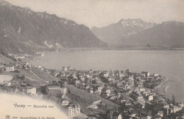 VD199 --  VEVEY  --  NOUVELLE VUE  --  1905 - Vevey