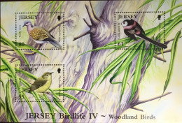 Jersey 2010 Woodland Birds Minisheet MNH - Other & Unclassified