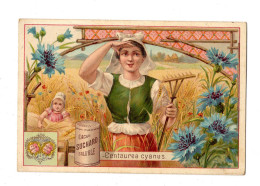 Chromo Chocolat Suchard S 53 / B, Serie Femmes Et Fleurs - Suchard