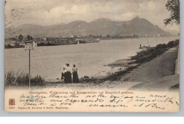 5300 BONN - BAD GODESBERG - RÜNGDORF, Rheinufer 1899, "Reiten Und Fahren Verboten !!! - Bonn