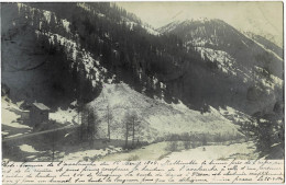 Photo Carte De L'Avalanche Du 16 Avril 1904 Voir Commentaire En Bas De La Carte Circulée En 1904 - Davos