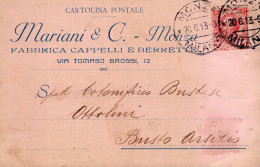 Regno D'Italia (1913) - Ditta Mariani & C. - Cartolina Da Monza Per Busto Arsizio - Marcophilia
