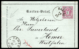 CARTE LETTRE DE HASLAU "1887" 5kr Rose - Carte-Lettere