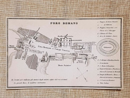 Rara Pianta Topografica Foro Romano Anno 1873 Artaria Di Ferd. Sacchi E Figli - Geographische Kaarten