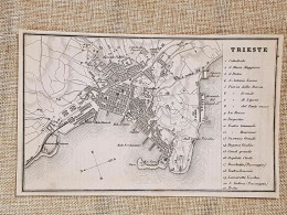 Rara Pianta Topografica Trieste Anno 1873 Artaria Di Ferdinando Sacchi E Figli - Geographical Maps