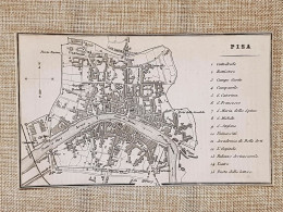 Rara Pianta Topografica Di Pisa Anno 1873 Artaria Di Ferdinando Sacchi E Figli - Mapas Geográficas