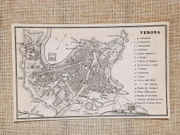 Rara Pianta Topografica Di Verona Anno 1873 Artaria Di Ferdinando Sacchi E Figli - Cartes Géographiques