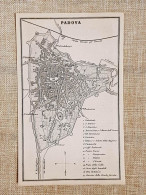 Rara Pianta Topografica Di Padova Anno 1873 Artaria Di Ferdinando Sacchi E Figli - Mapas Geográficas