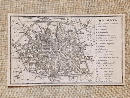 Rara Pianta Topografica Bologna Anno 1873 Artaria Di Ferdinando Sacchi E Figli - Carte Geographique