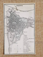 Rara Ed Antica Pianta Topografica Padova Anno 1871 Ferdinando Artaria E Figlio - Geographische Kaarten