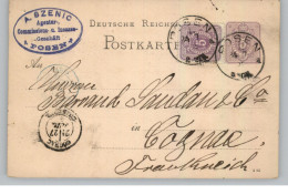 POSEN / POZNAN, Postgeschichte, GA Mit Zusatzfrankatur Nach Cognac, Einkreisstempel 1883 - Posen