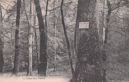 60 - Foret De COMPIEGENE - Dans Les Beaux Monts - Le Chene De La Tsarine - Compiegne