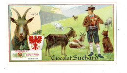 Chromo Chocolat Suchard S 161 / 8, Chèvre, Tirol, Serie Animaux En Différents Pays - Suchard