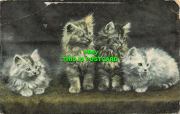 R618268 Cats. Kittens. B. B. London Series No. G. 9. 1910 - Other & Unclassified