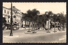 ALGERIE - MAISON CARRE - Avenue Nicolas Zévaco - Sonstige & Ohne Zuordnung