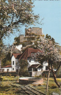 38 - Crémieu  -  Château Delphinal - Crémieu