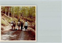 40138507 - Dackel Dackel Auf DerSchwarzwald  Wanderung - Cani