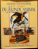 Encyclopédie Du MONDE ANIMAL - Des Maîtres Naturalistes : BUFFON - CUVIER - LACÉPÈDE - D'ORRBIGNY - ÉDITA - 1994 . - Sciences