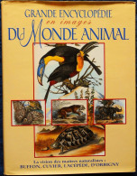 Encyclopédie Du MONDE ANIMAL - Des Maîtres Naturalistes : BUFFON - CUVIER - LACÉPÈDE - D'ORBIGNY - ÉDITA - 1994 . - Ciencia