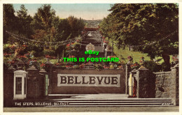 R618319 Steps. Bellevue. Belfast. R. 502. Valentines. Carbo Colour - World