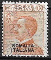 SOMALIA - 1926 - MICHETTI C. 60 - USATO (YVERT 94 - MICHEL 98 - SS 97) - Somalie