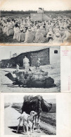 Algeria Le Lecture Du Coran Algiers Camels 3x Postard - Other & Unclassified