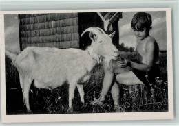 12095907 - Ziegen Junge Fuettert Eine Ziegenbock Ca 1940 - Sonstige & Ohne Zuordnung