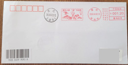 China cover "You Set Sail In Yufeng Mountain City" (Shangqing Temple, Chongqing) Postage Machine Stamp First Day Actual - Buste
