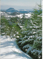 BESSE EN CHANDESSE - Sous La Neige - Besse Et Saint Anastaise