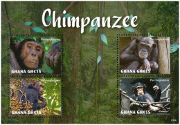 Ghana 3906/09 Et Bf 593 Singes Chimpanzés - Mono