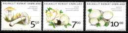 Grönland 2006 - Mi.Nr. 464 - 466 - Postfrisch MNH - Pilze Mushrooms - Hongos