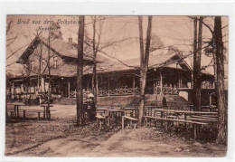 39028707 - Dresden, Heidepark Mit Volksheim Gelaufen, Marke Entfernt, Handschriftliches Datum Von 1909. Gute Erhaltung. - Dresden