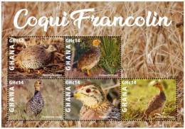 Ghana 3920/24 Et Bf 596 Oiseaux, Perdreaux, Francolin - Sonstige & Ohne Zuordnung