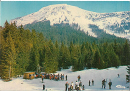 LE COL DE PORTE ( Les Pistes De Ski De Chamechaude - Sonstige & Ohne Zuordnung