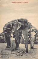 Sri Lanka - Temple Elephant - Publ. M. B. Uduman - The Travellers Mart 129 - Sri Lanka (Ceylon)