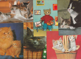 Lot Mit 16 Ansichtskarten Motiv Katze Querbeet - 5 - 99 Cartes