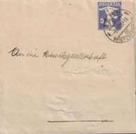 1926 Schweiz Streifband Zum: PrU 21 5 Cts Grauviolett, Tell Knabe ⵙ BERN BRIEFEXPEDITION 9.Vlll.26 - Enteros Postales