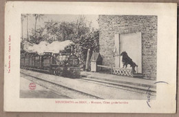 CPA 76 - NEUCHATEL EN BRAY - Marquis , Chien Garde-barrière - TB PLAN TRAIN Entrant En Gare LOCOMOTIVE ANIMATION - Neufchâtel En Bray