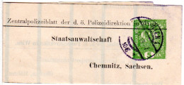 Österreich 1919, Zentralpolizeiblatt Streifband Ganzsache V. Wien N. Sachsen - Covers & Documents