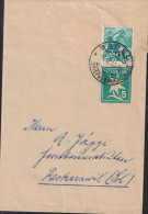 1948 Schweiz Streifband Zum: 51, 5 Cts Grün Edelweiss + 202 Pilatus, ⵙ Basel Briefversand - Stamped Stationery