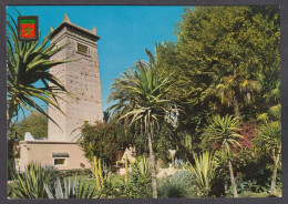 127431/ MARRAKECH, Le Jardin Majorelle - Marrakesh