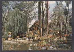 127428/ MARRAKECH, Le Jardin Majorelle - Marrakesh