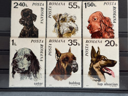 România MNH 1971  Dogs - Perros